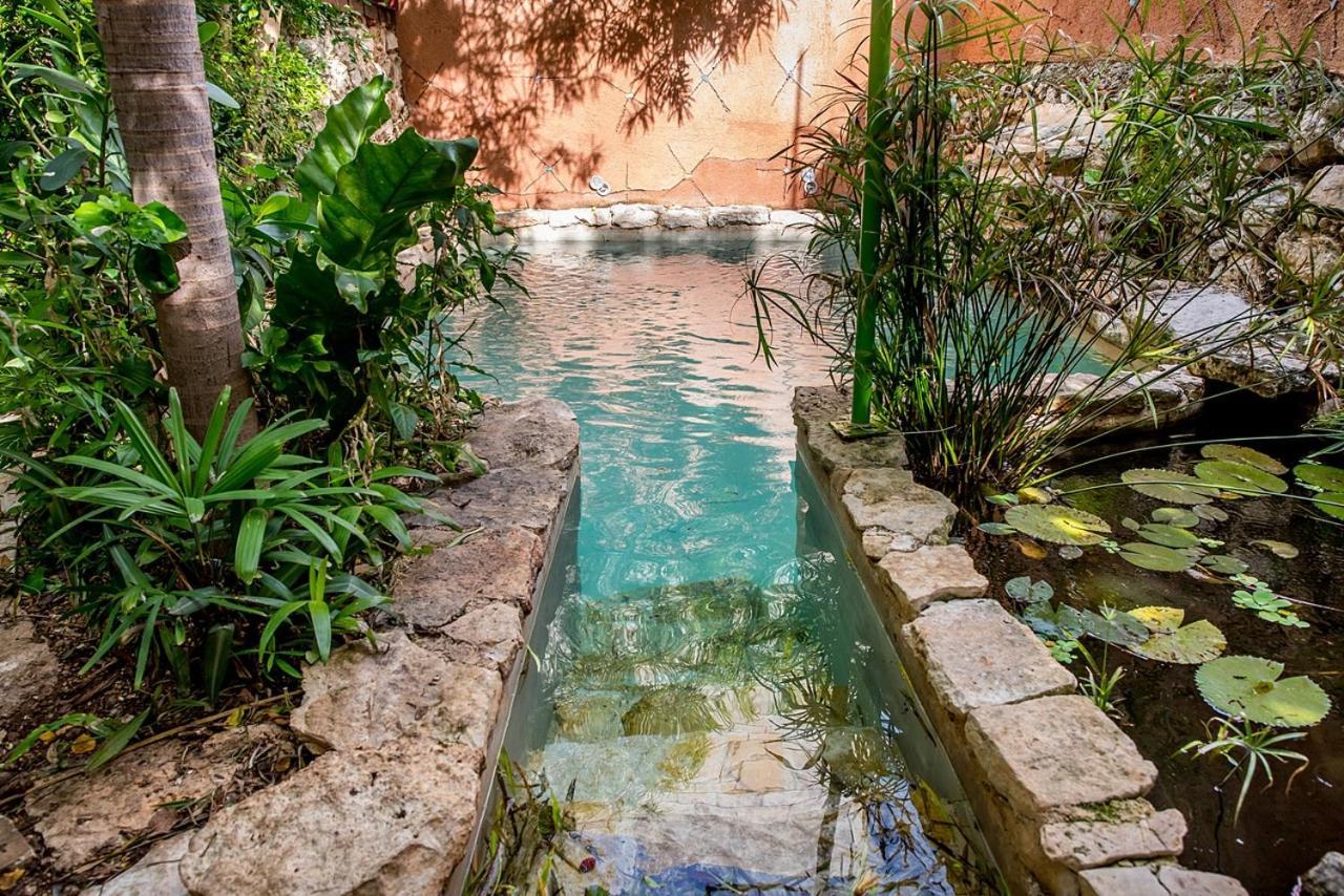 Pueblo Maya By Majikal B&B Mérida Extérieur photo